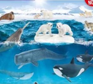 Puzzle – 60 Wildlife in the Arctic